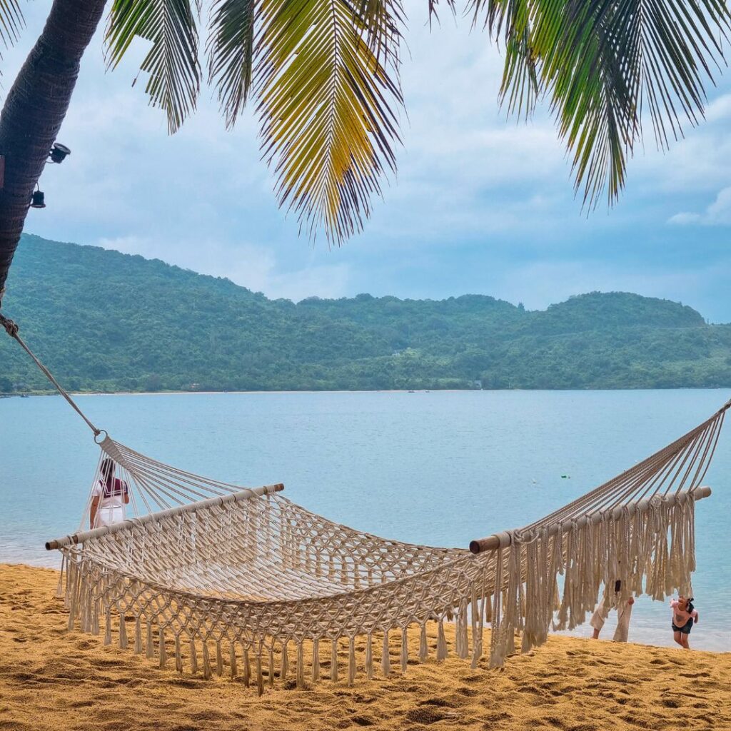 Hammock Chilling Under Coconut Trees