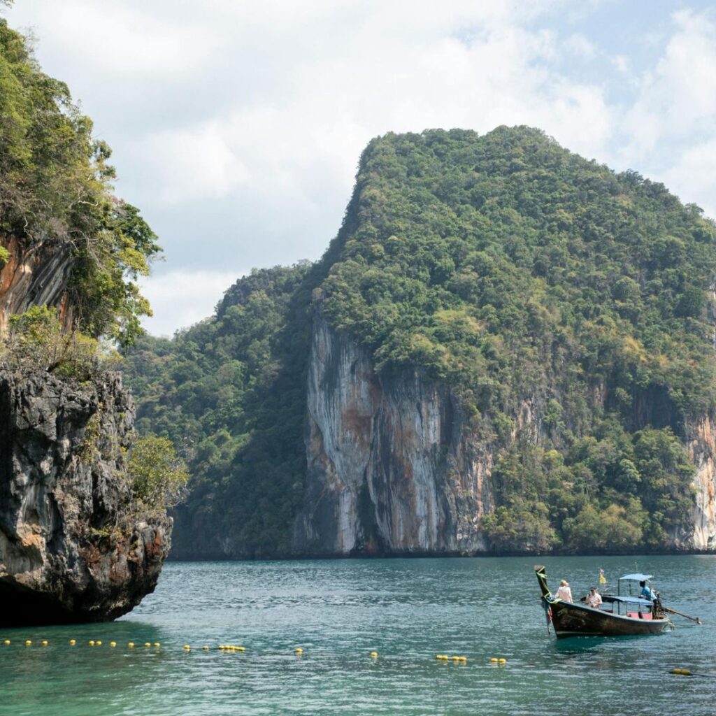 Limestone Cliffs and Mangrove Backdrop